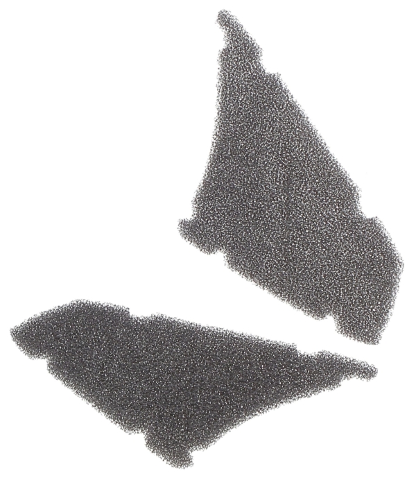 SC 50307