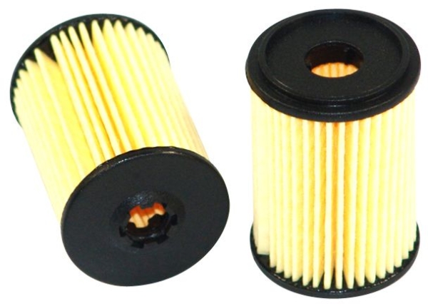 SG 1019